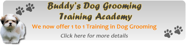 Dog Grooming Training Maghull